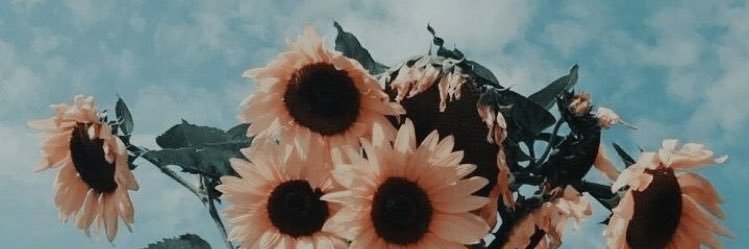 Courttaylorr__'s profile banner image