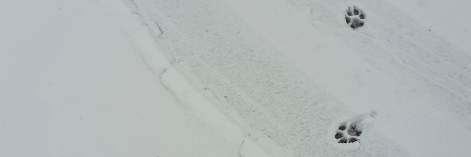 M H banner