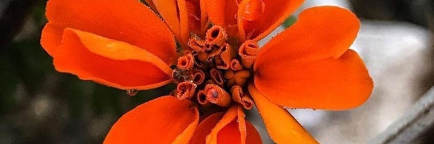 vda7m_89's profile banner image