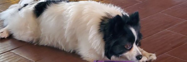 Josc_Roberson Profile Banner