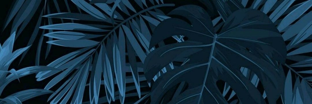 analiviafr's profile banner image
