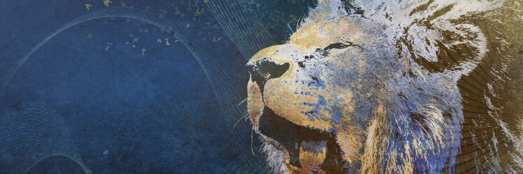 JooacoFerrari's profile banner image