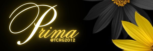 TCRG2012 Profile Banner