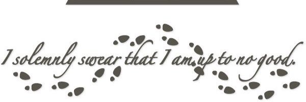 Gidget4891's profile banner image