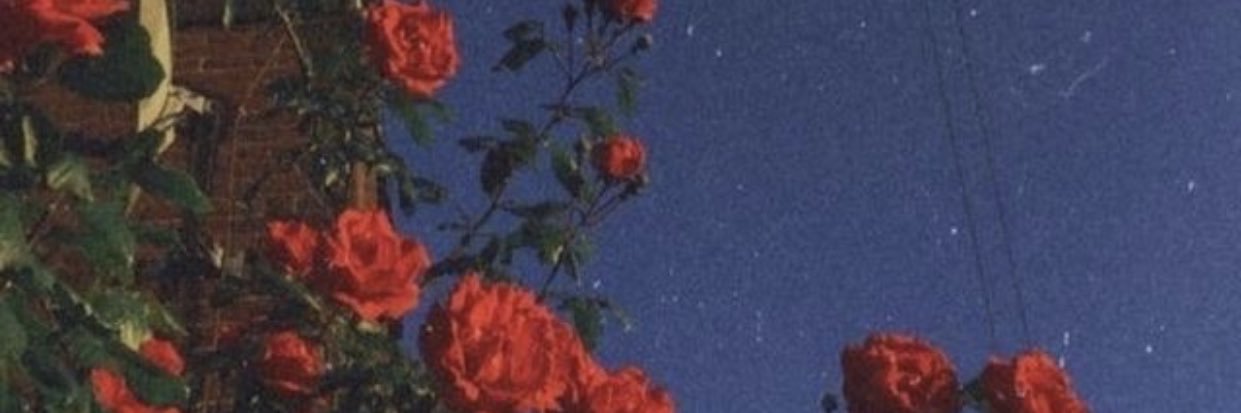 day_nuuh's profile banner image