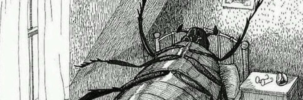 MushGoblin's profile banner image