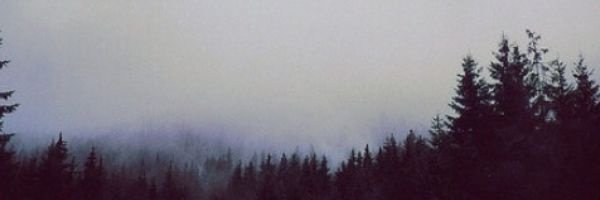 msl00x's profile banner image