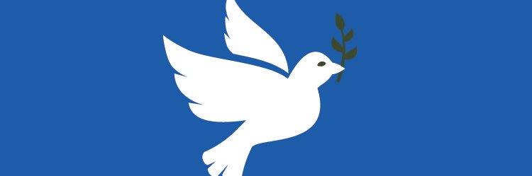 MdB Sören Pellmann banner