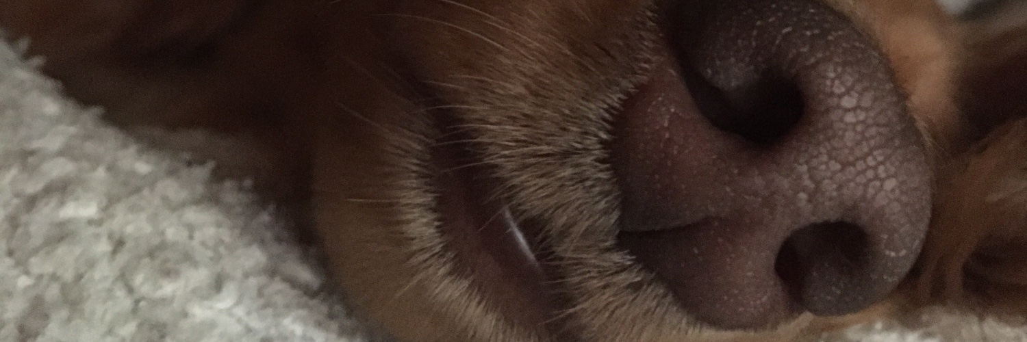 WalterJohnathan's profile banner image
