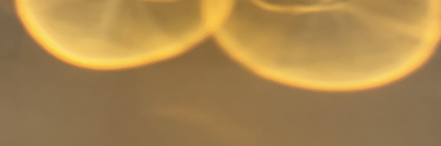 DNunez3's profile banner image