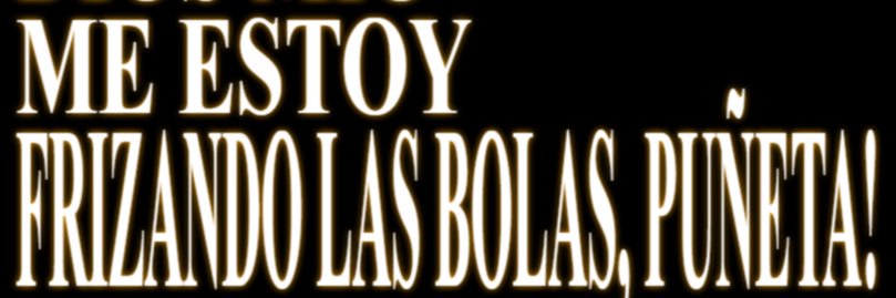 your friendly neighborhood gringo banner