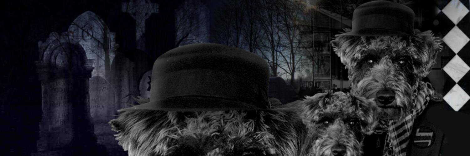 ChrisKelly_Draw's profile banner image