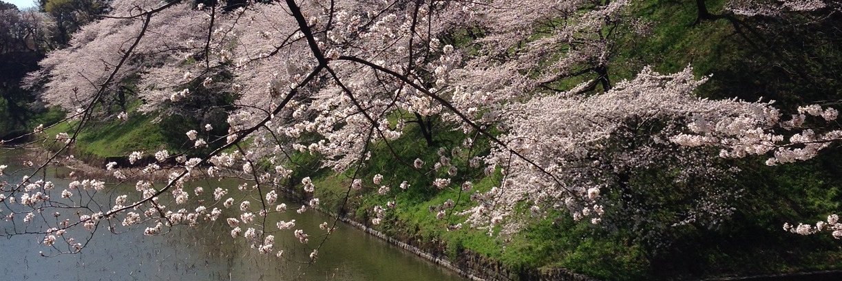 kitanomaru2014's profile banner image