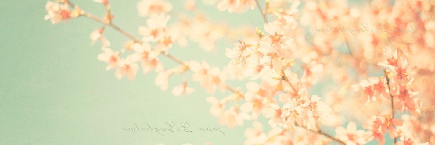 kofiant's profile banner image