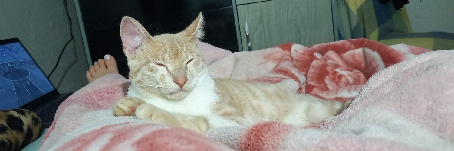 andreadiih09's profile banner image