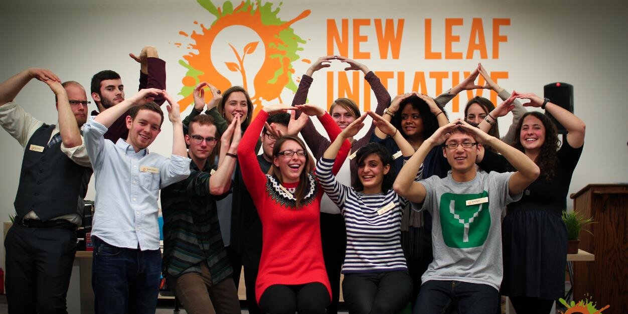 newleafupdates's profile banner image