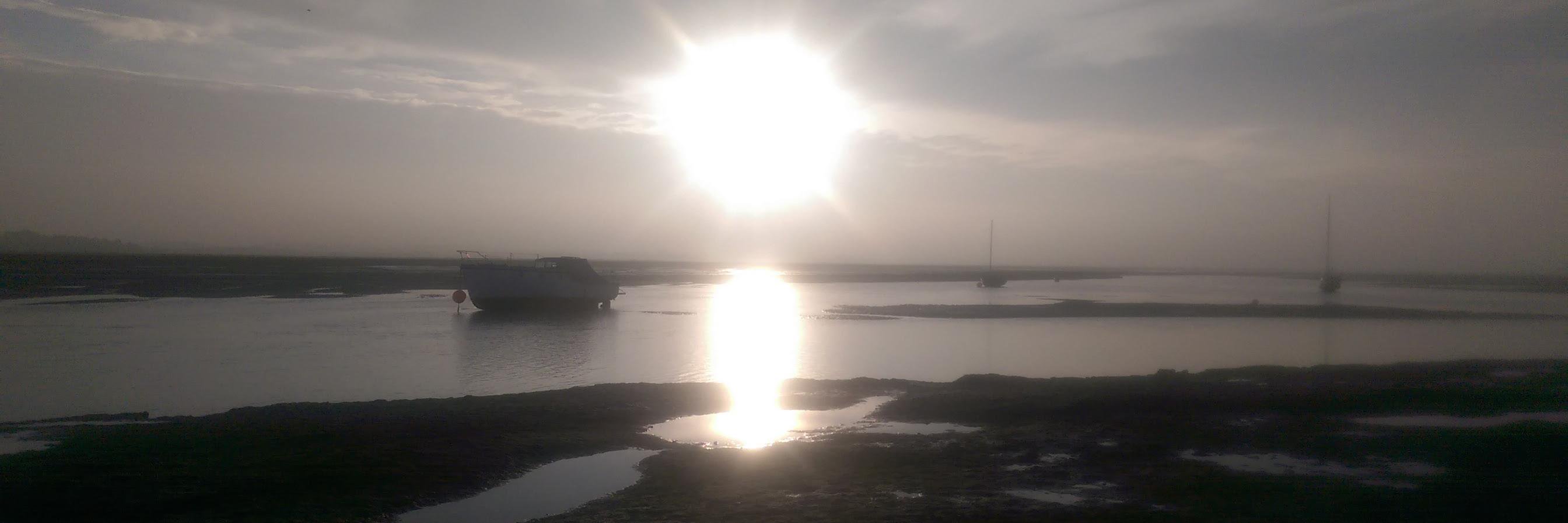 Sarah Brownsword banner