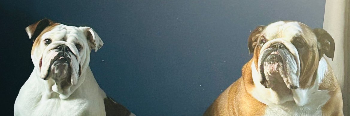 antjbaker's profile banner image
