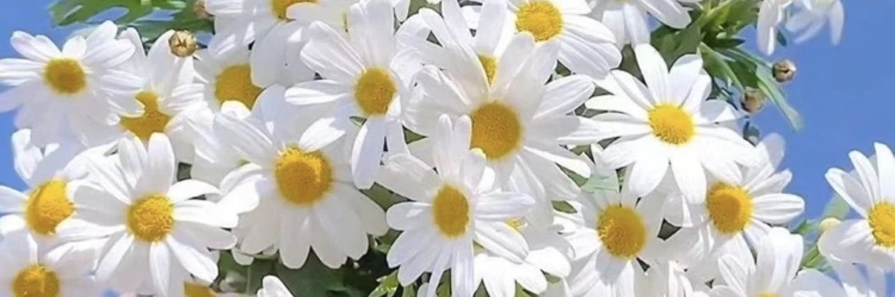 veruskavsb's profile banner image