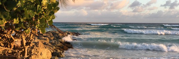 Jerikkho Profile Banner