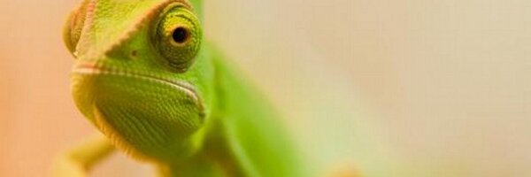 onio72 Profile Banner