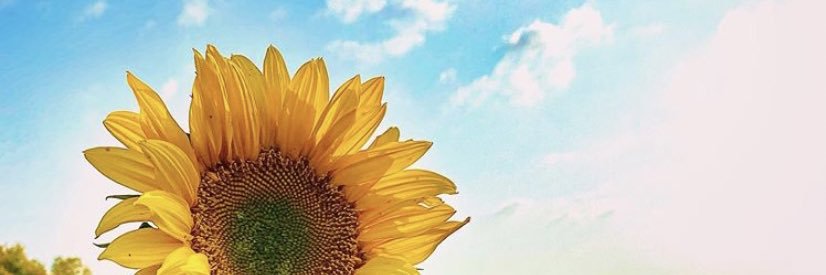 kaitlinmcduff's profile banner image