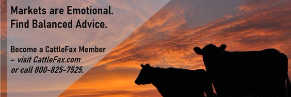 cattlefax Profile Banner