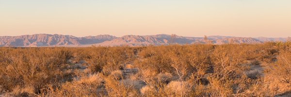 Sklar_R Profile Banner