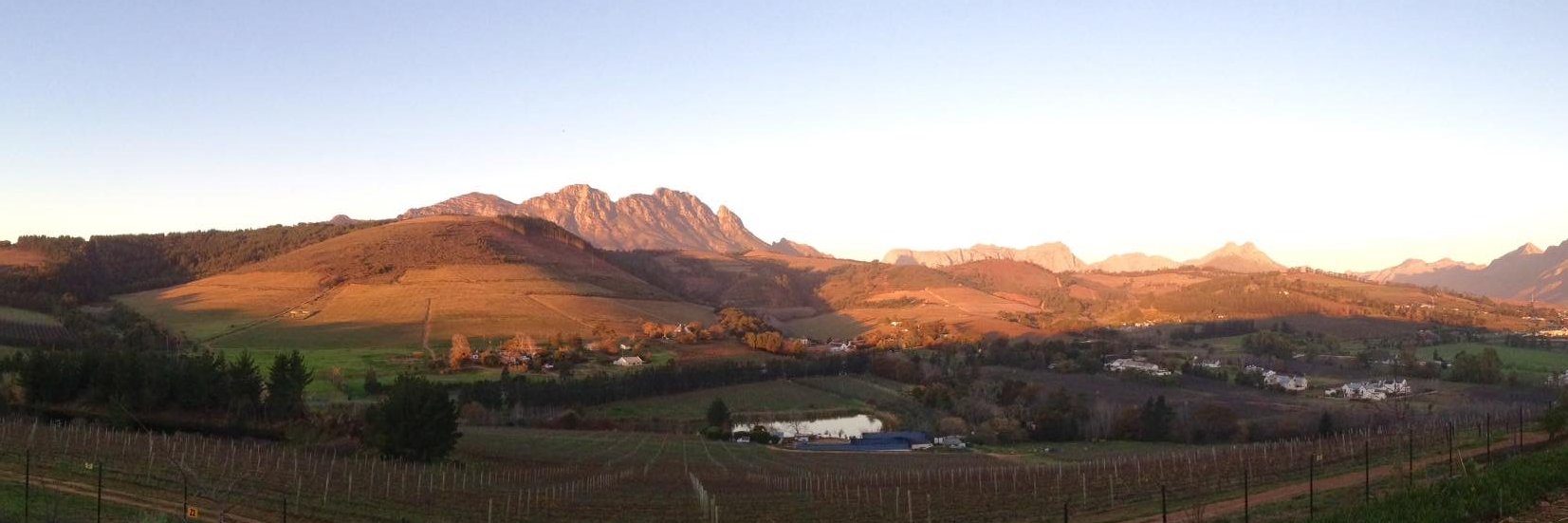 DBFwines's profile banner image