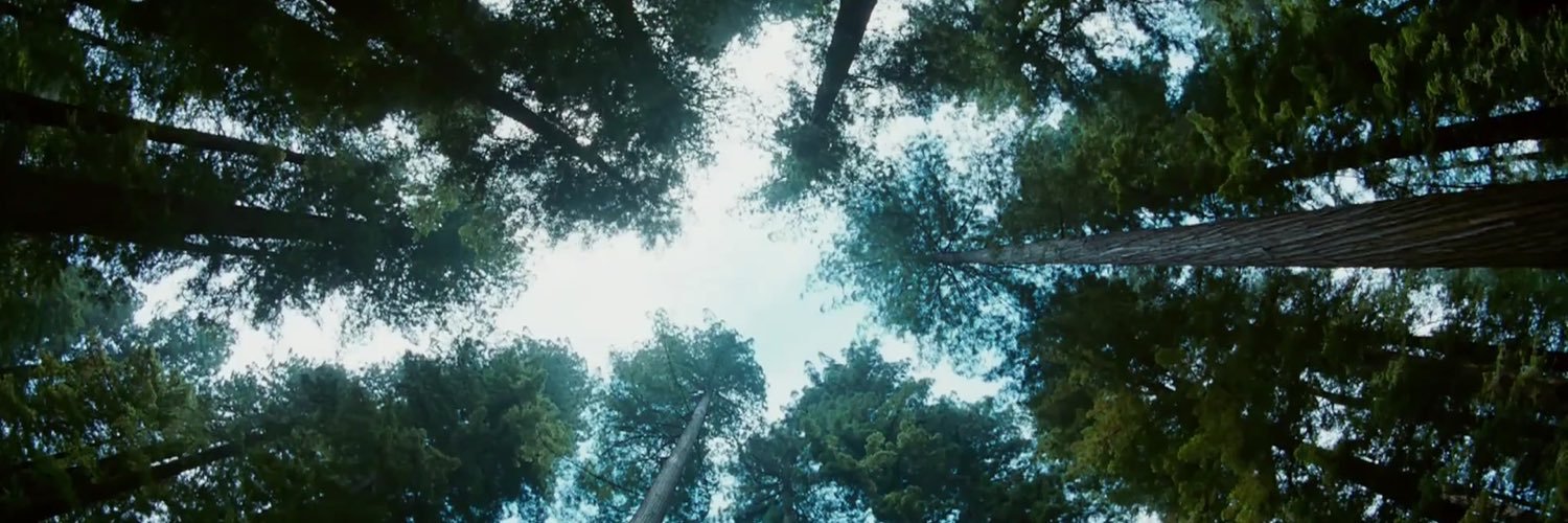 KristaCoffin's profile banner image
