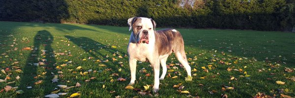 bac40 Profile Banner