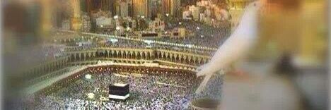 الشريف هاشم بن هزاع العبدلي banner