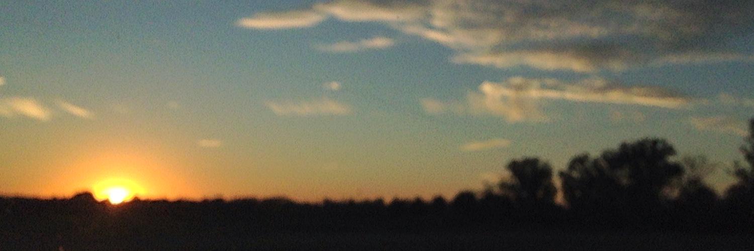 theedentatum's profile banner image