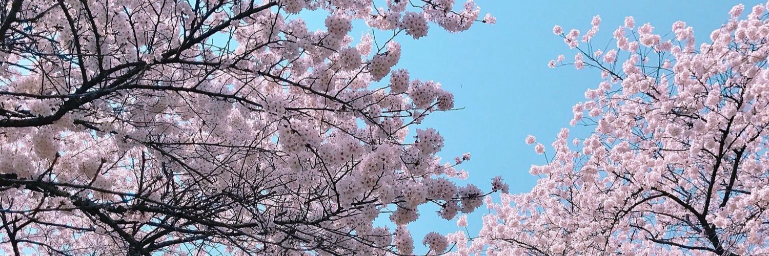 gallylovessuga's profile banner image