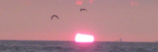 bradmceachern Profile Banner