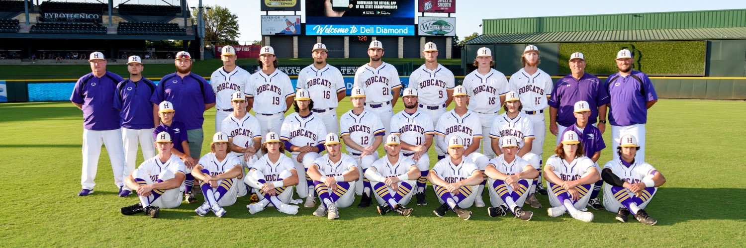 Hallsville Baseball banner