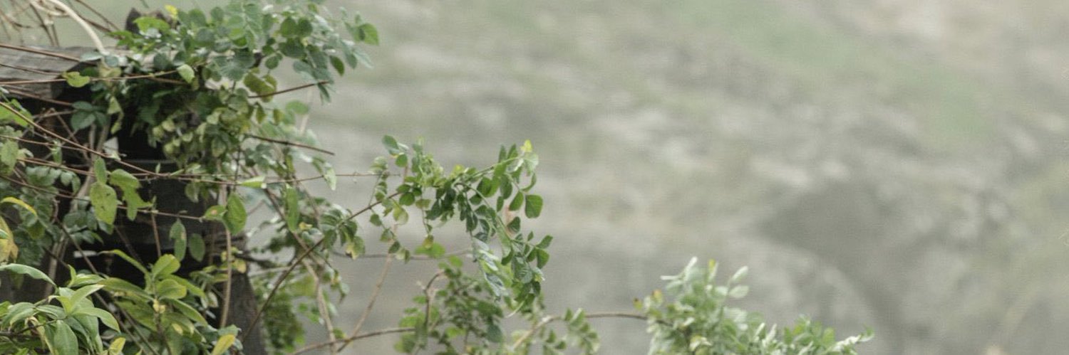 kingiaia's profile banner image