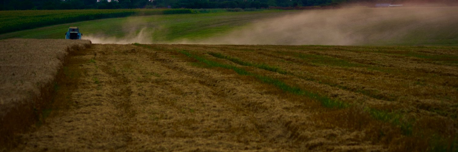 Florin Cojocariu banner