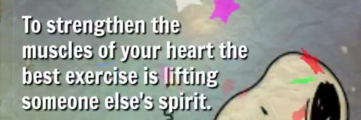 Robin Vitullo banner