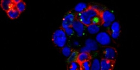 UPRM Chem. Eng. banner