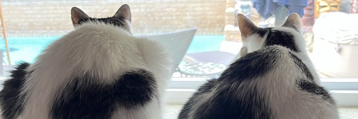 TKOSD_'s profile banner image