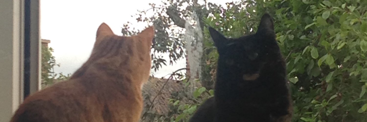 Hazel_Ann77's profile banner image