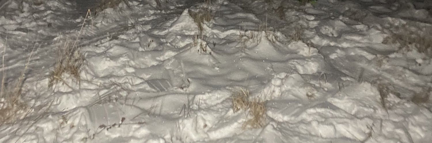 ameliacarlson__'s profile banner image