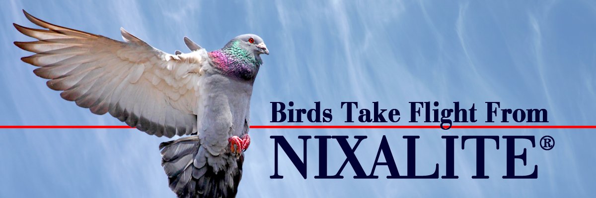 Nixalite of America Inc banner