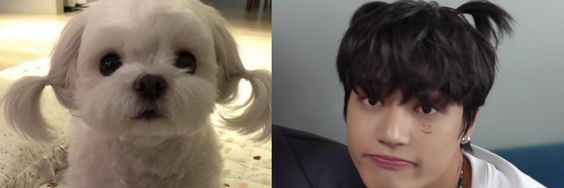 ★ banner