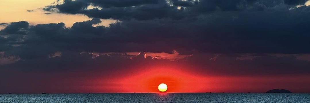 ༝darling ༘⋆ banner