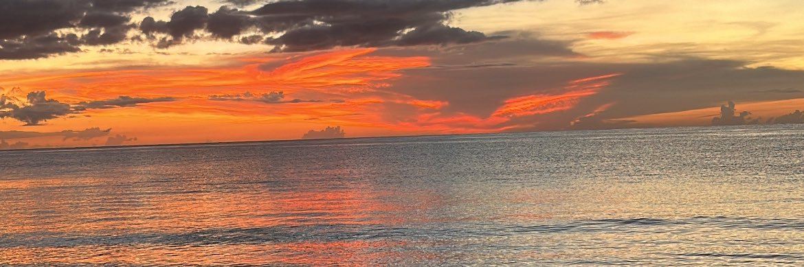 ivanaaa🐙💫 banner