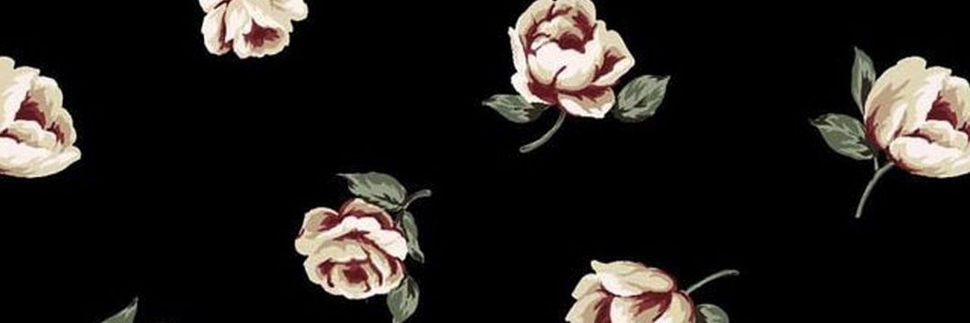 hanglarkspur's profile banner image