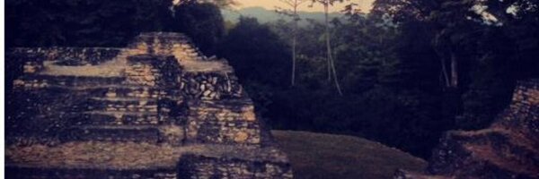 IA_NICH Profile Banner