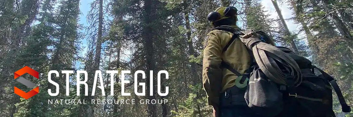Strategic Natural Resource Group banner
